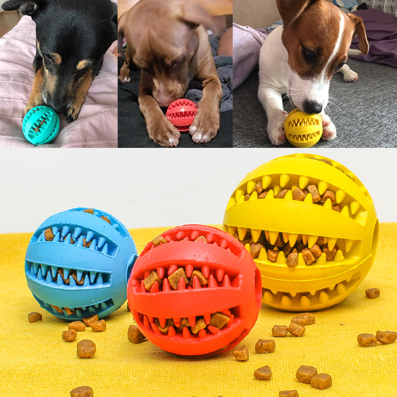 Pet Slow Feeder Dog Ball