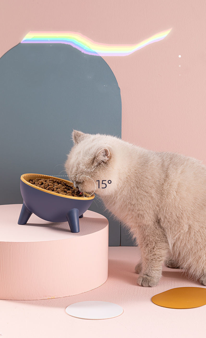 Elevated Pet Feeding Bowl
