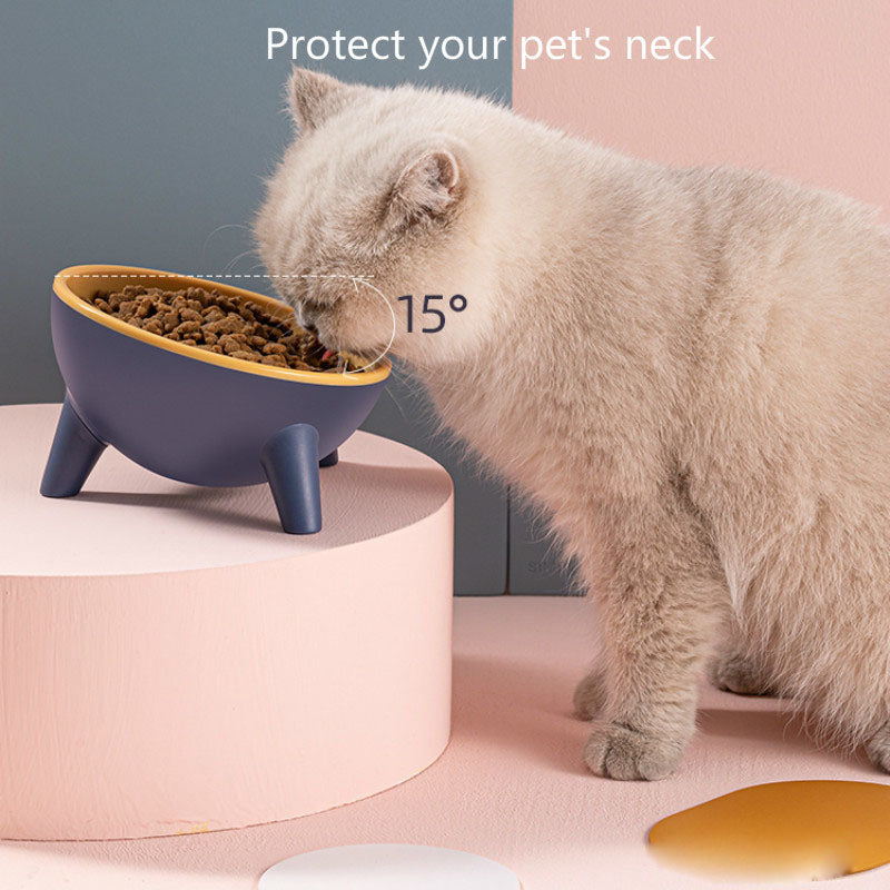 Elevated Pet Feeding Bowl