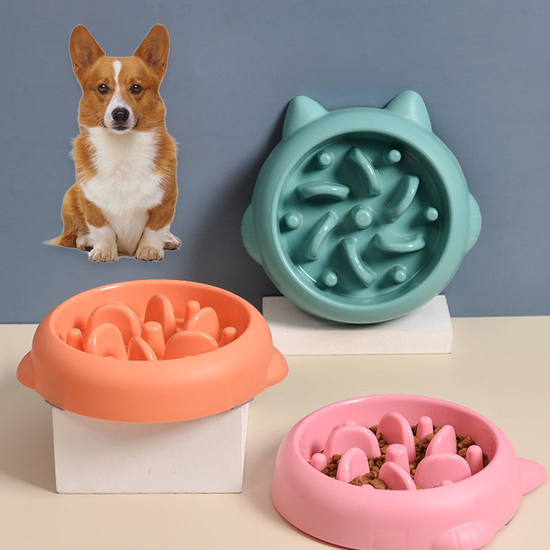 Slow Feeder Dog & Cat Bowl