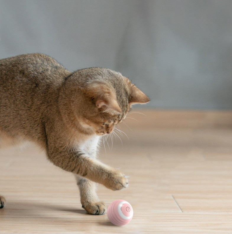 Automatic Self-Moving Cat Toy