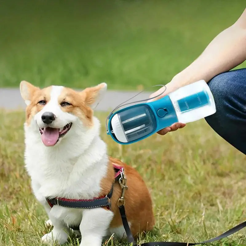 3-in-1 Portable Pet Water Bottle