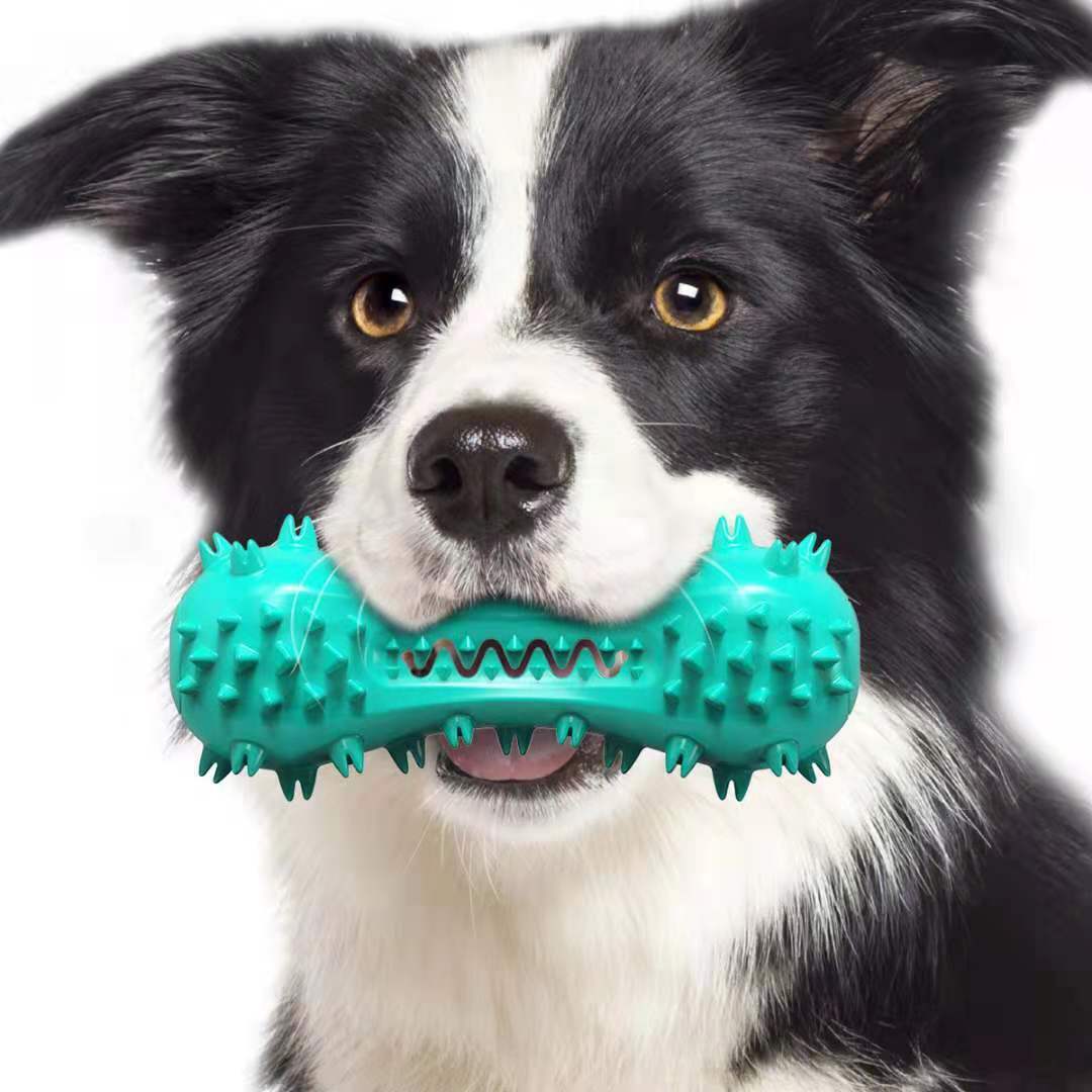 Durable Rubber Chew Toy