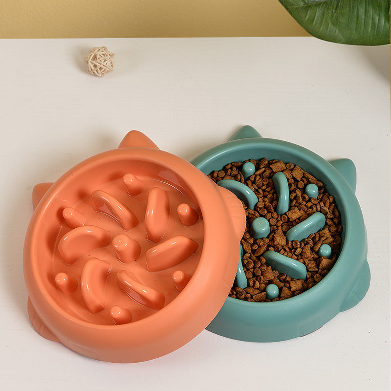 Slow Feeder Dog & Cat Bowl