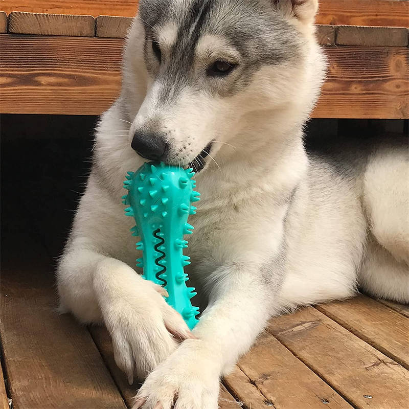 Durable Rubber Chew Toy