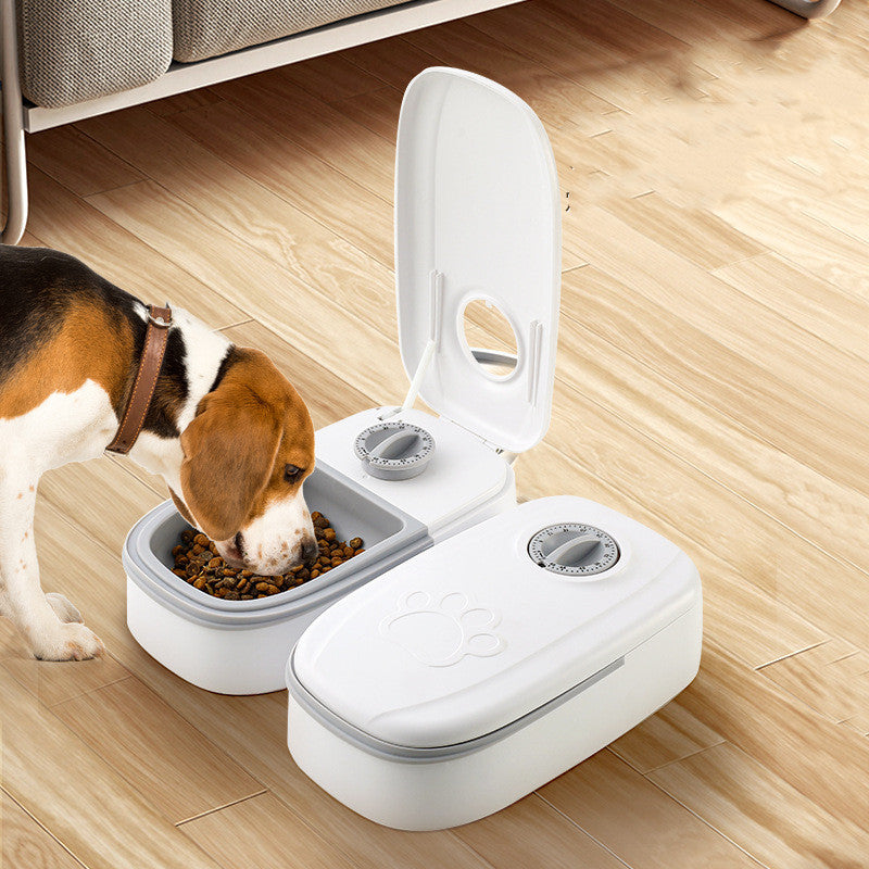 Automatic Pet Feeder & Water Dispenser
